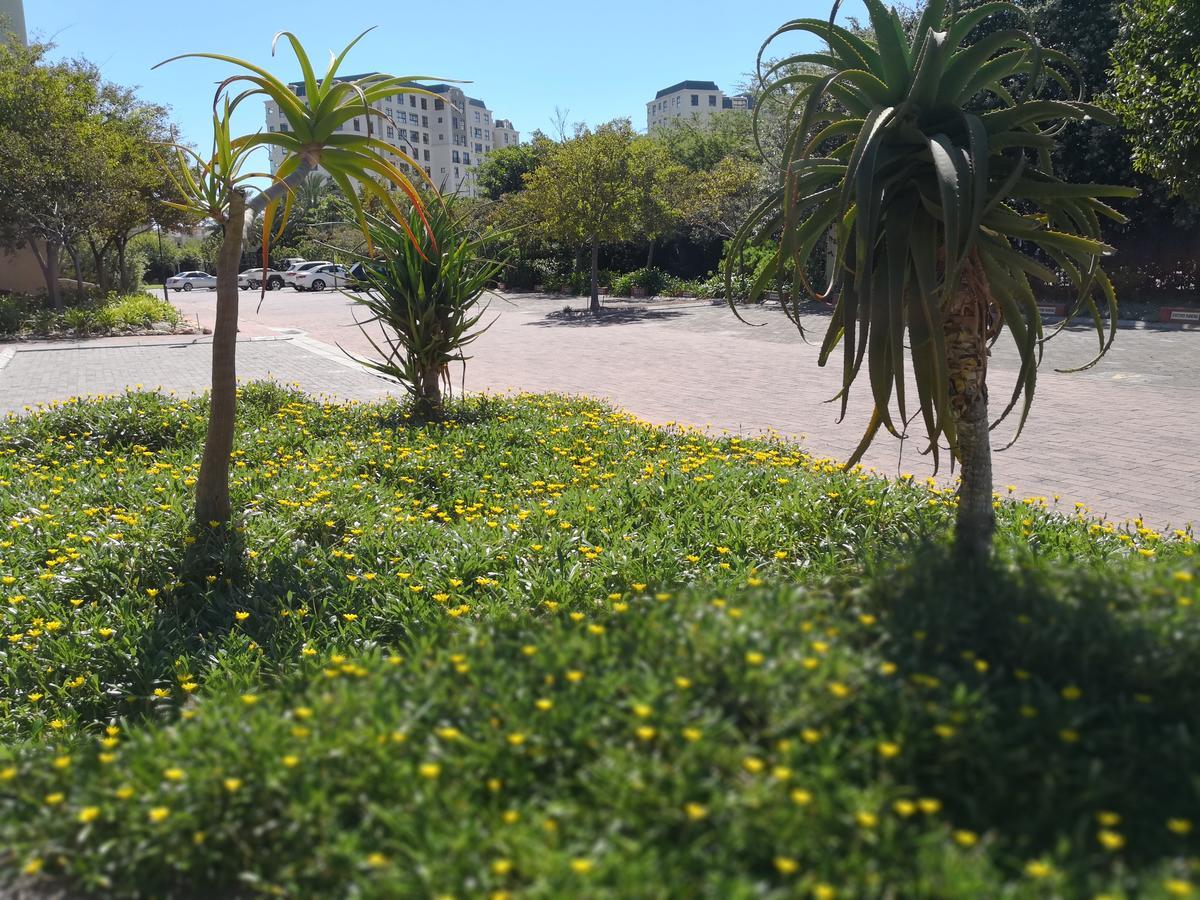 Majorca Apartments By Bon Hotels Cidade Do Cabo Exterior foto